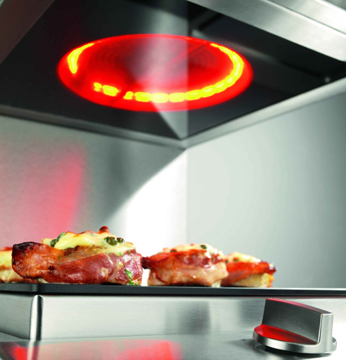 Salamandra doméstica