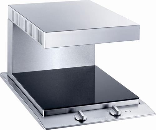 Salamandra doméstica