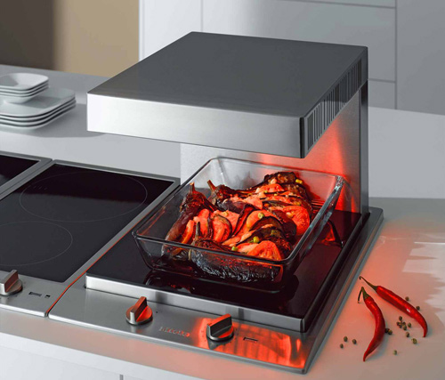 Salamandra doméstica