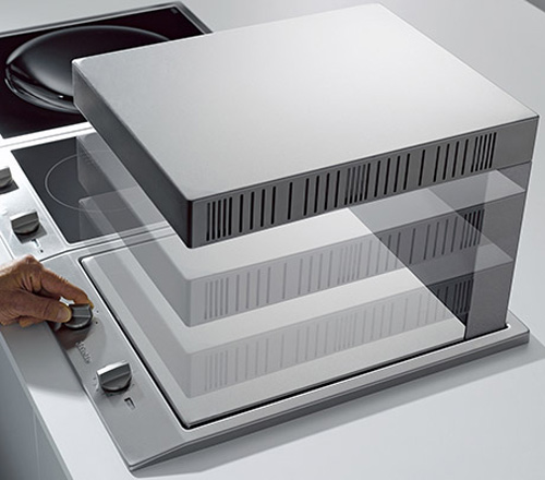 Salamandra doméstica