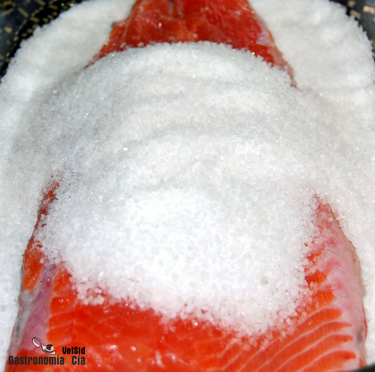 Salmón marinado básico