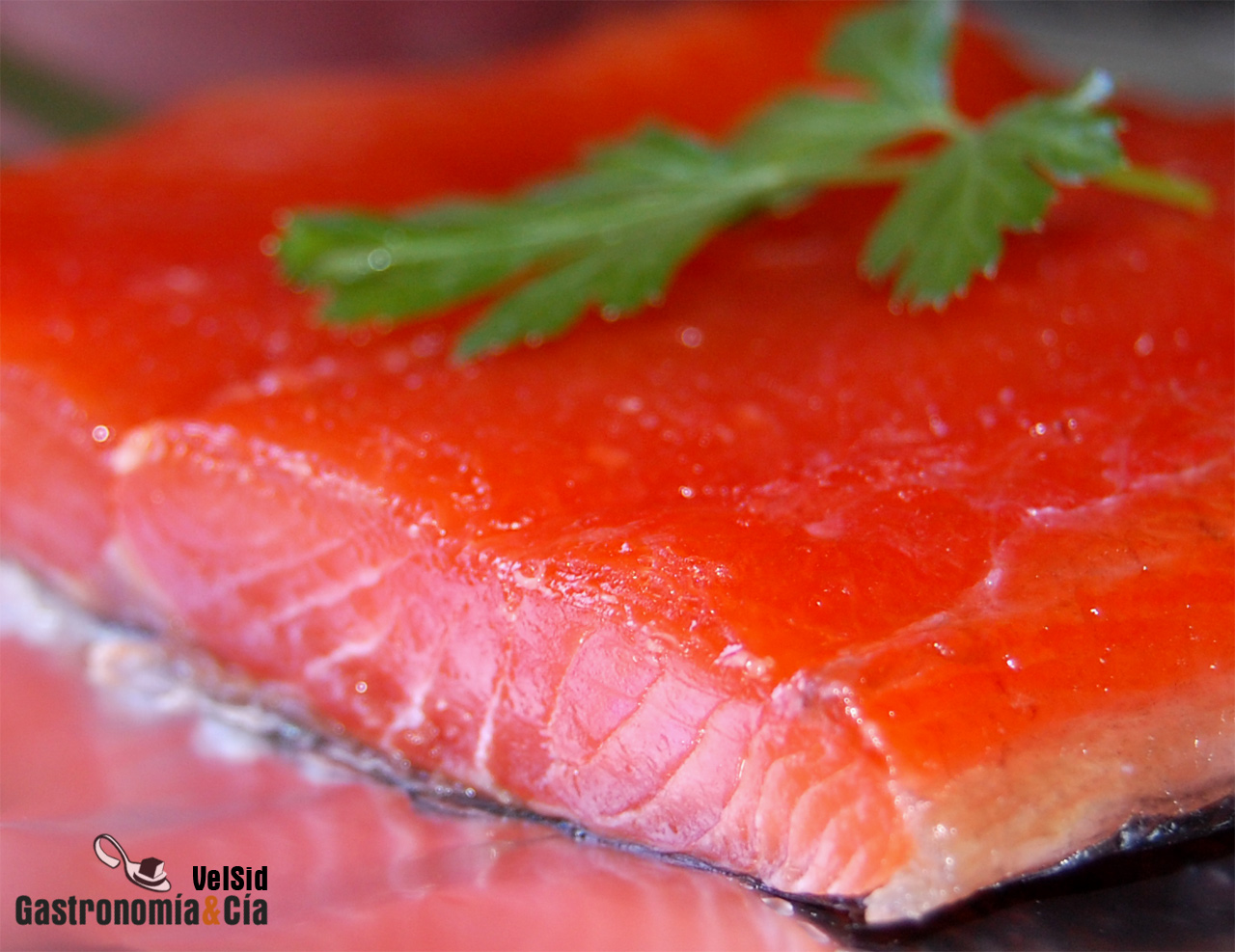 Salmón marinado básico