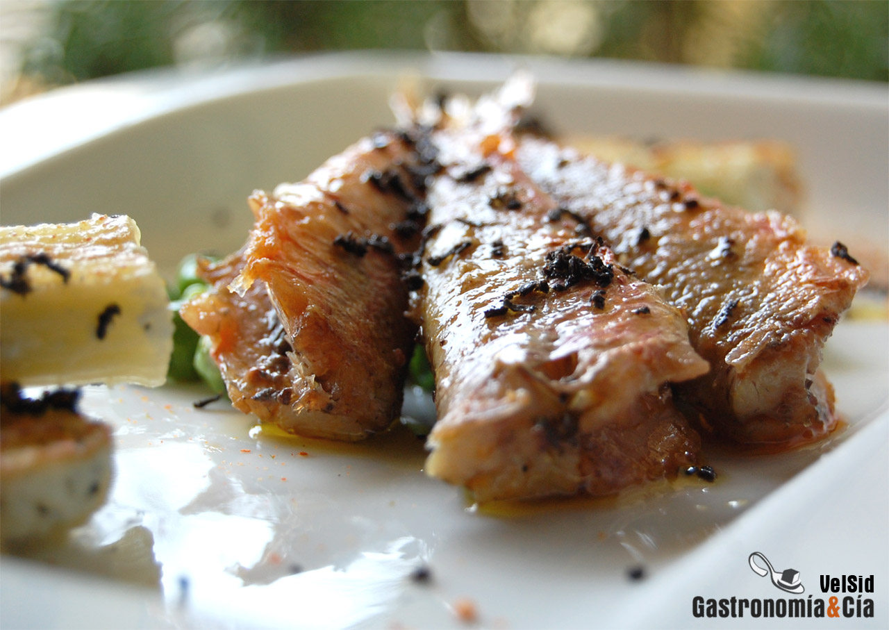 Salmonetes con macarrón relleno de queso y trufa