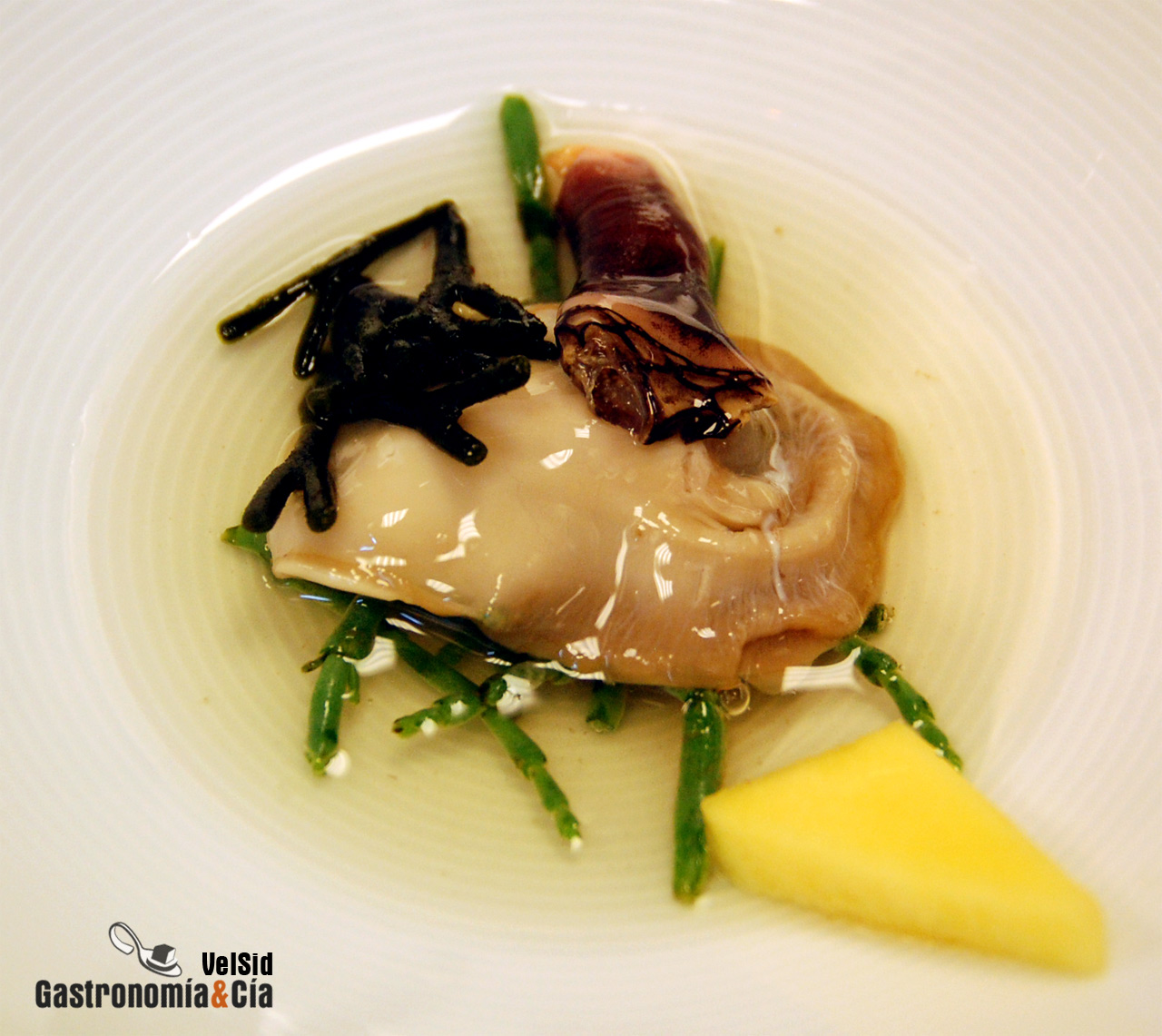 Cocina de Sensaciones por Luis Arrufat