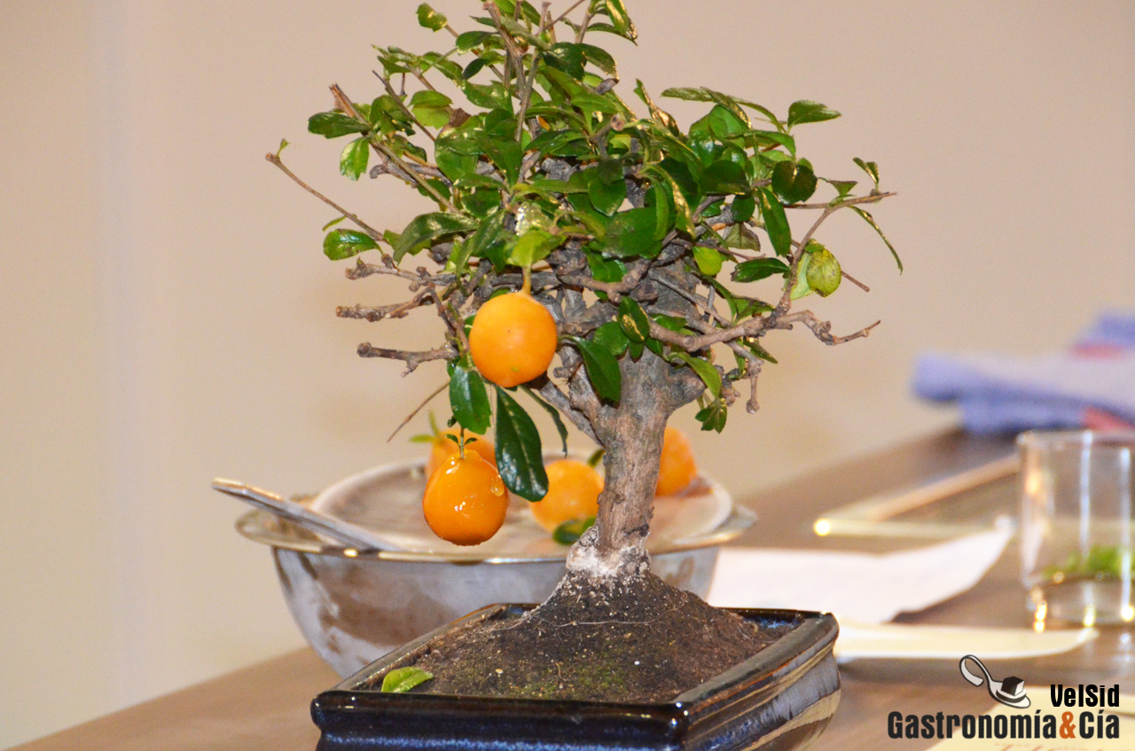 Tickets, las tapas de elBulli de barrio