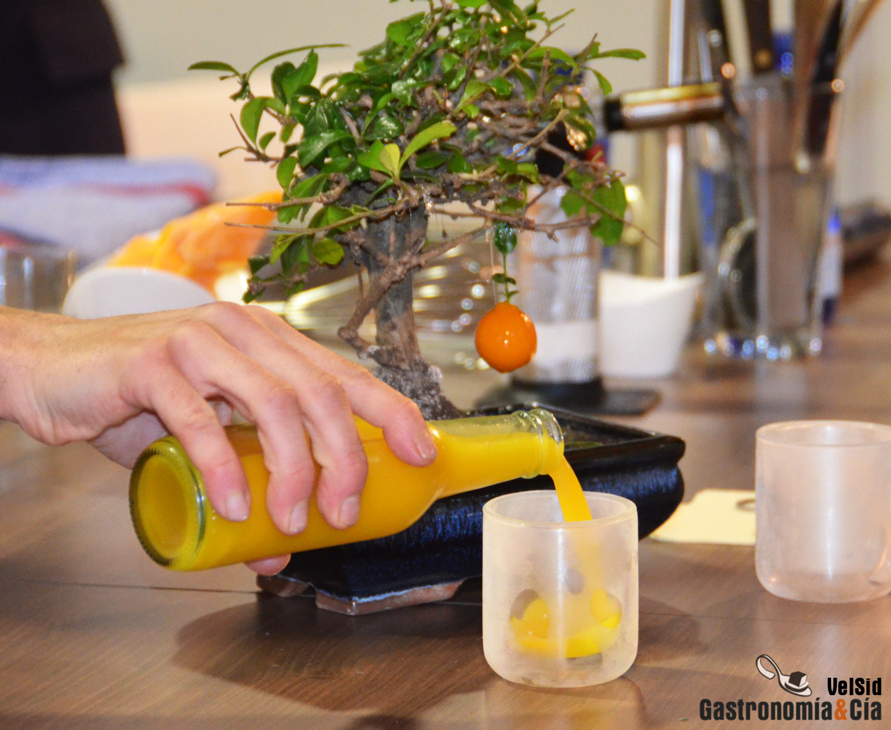 Tickets, las tapas de elBulli de barrio