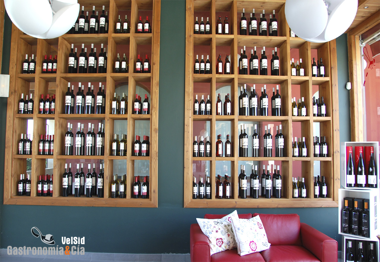 Exposición vinos Bodegas Olvena