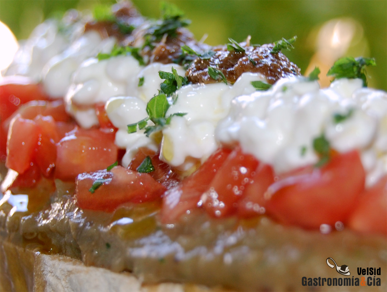 Tosta de berenjena, tomate, cottage y aceite de anchoa