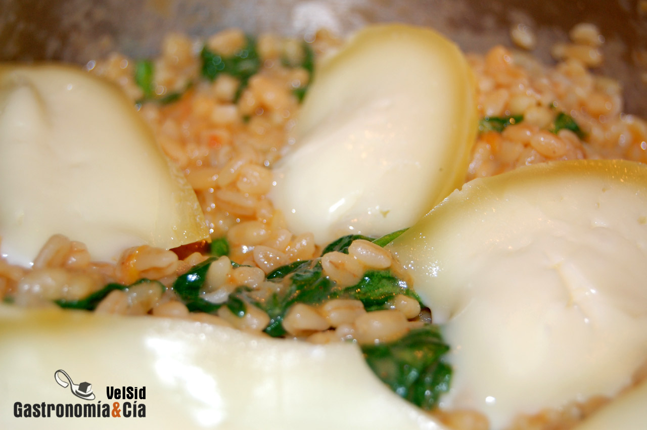 Receta de Trigo tierno con espinacas y queso tetilla