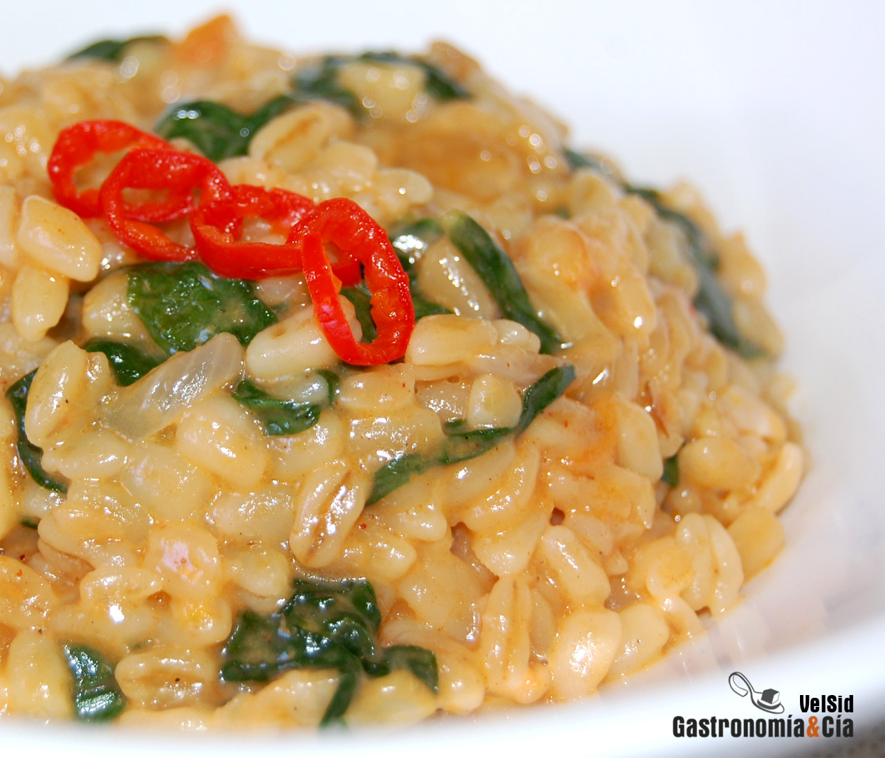 Receta de Trigo tierno con espinacas y queso tetilla