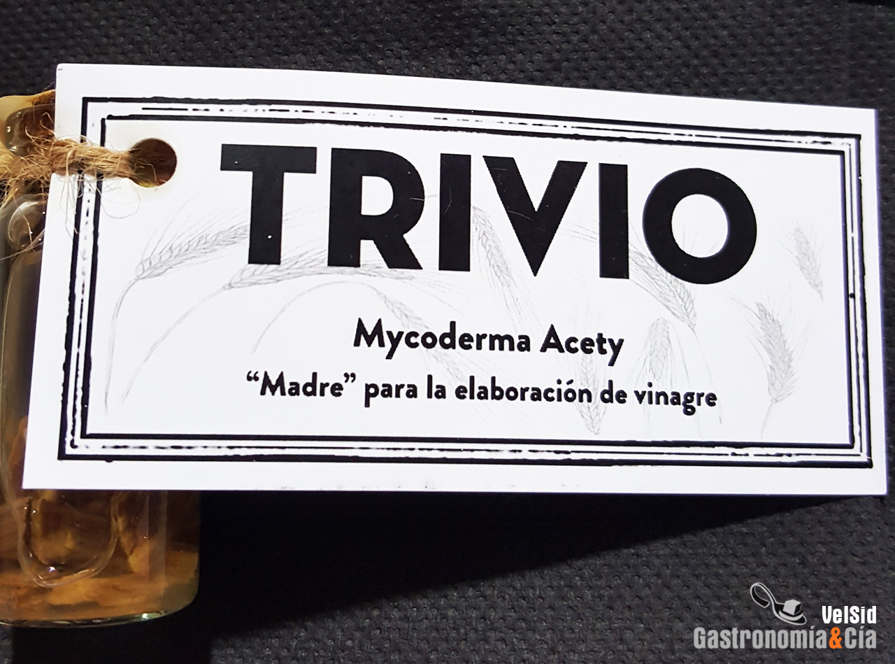 Las fermentaciones con Jesús Segura y David Chamorro