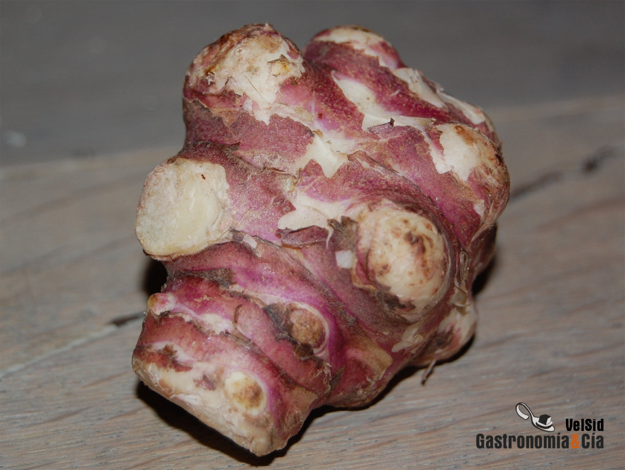 Tupinambo o alcachofa de Jerusalen