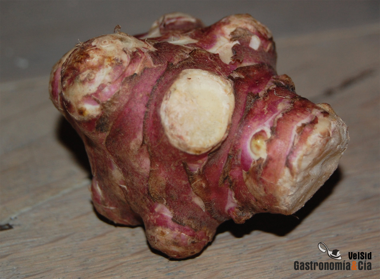 Tupinambo o alcachofa de Jerusalen