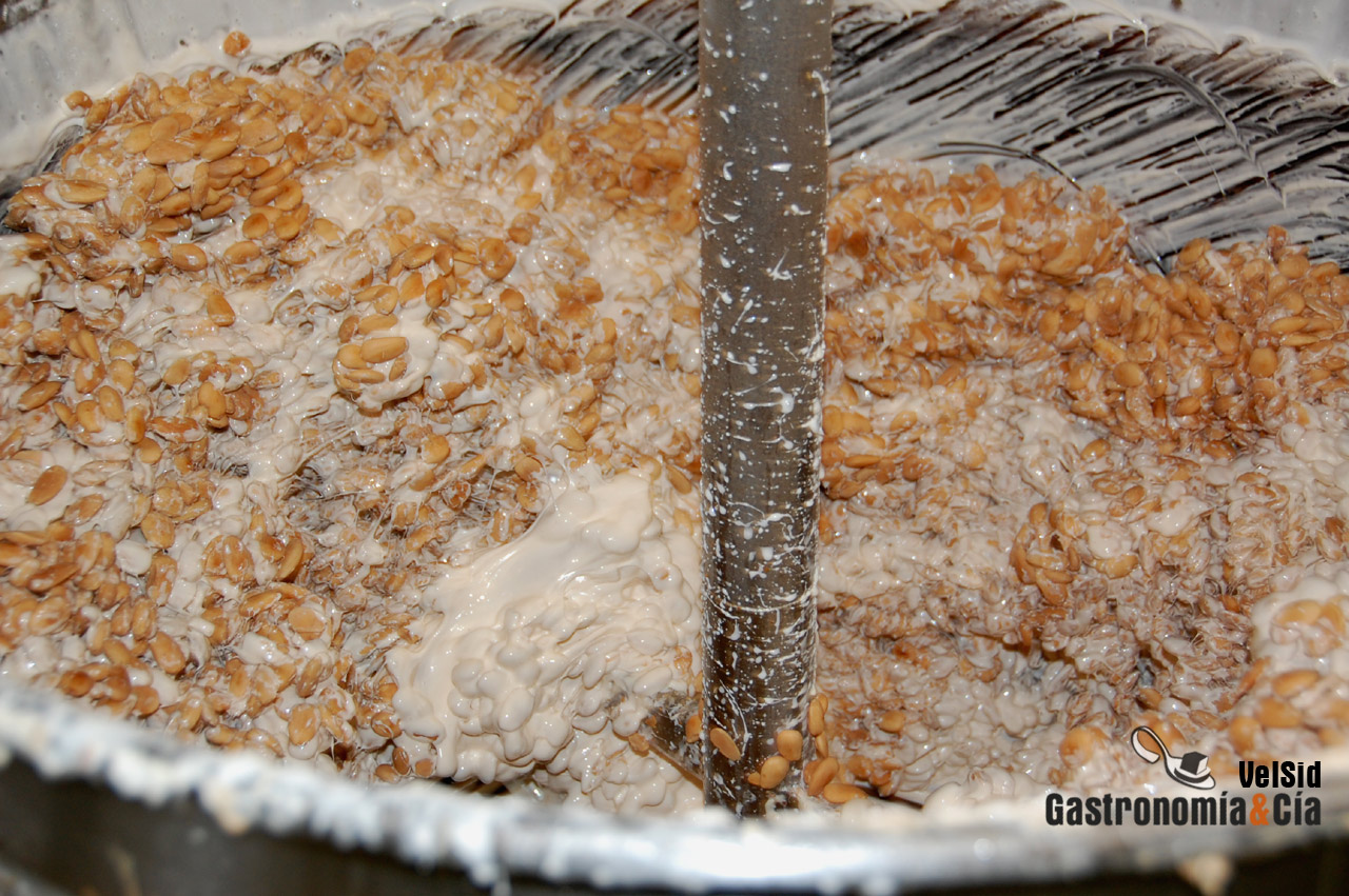 Turrones artesanos San Luis