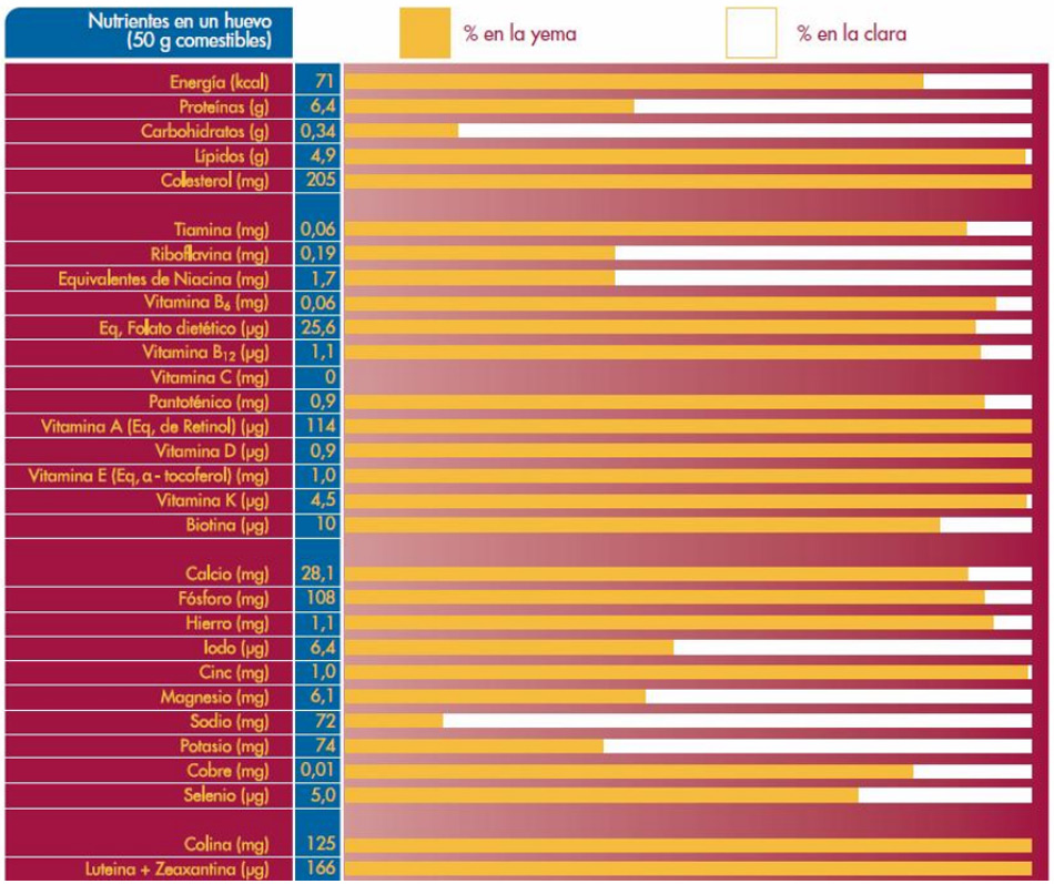 Valor nutritivo del huevo