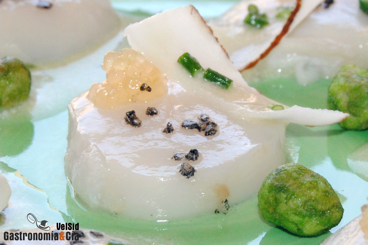 Carpaccio de vieiras