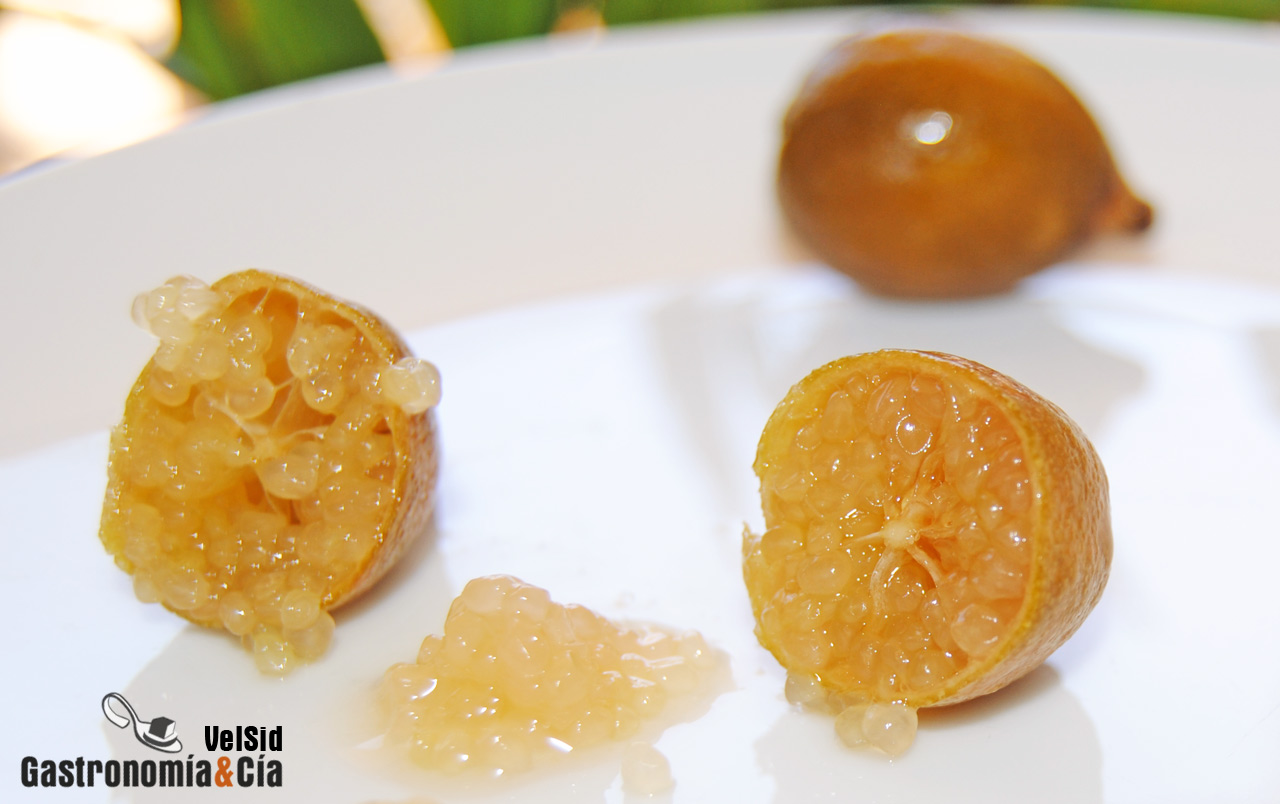 Carpaccio de vieiras