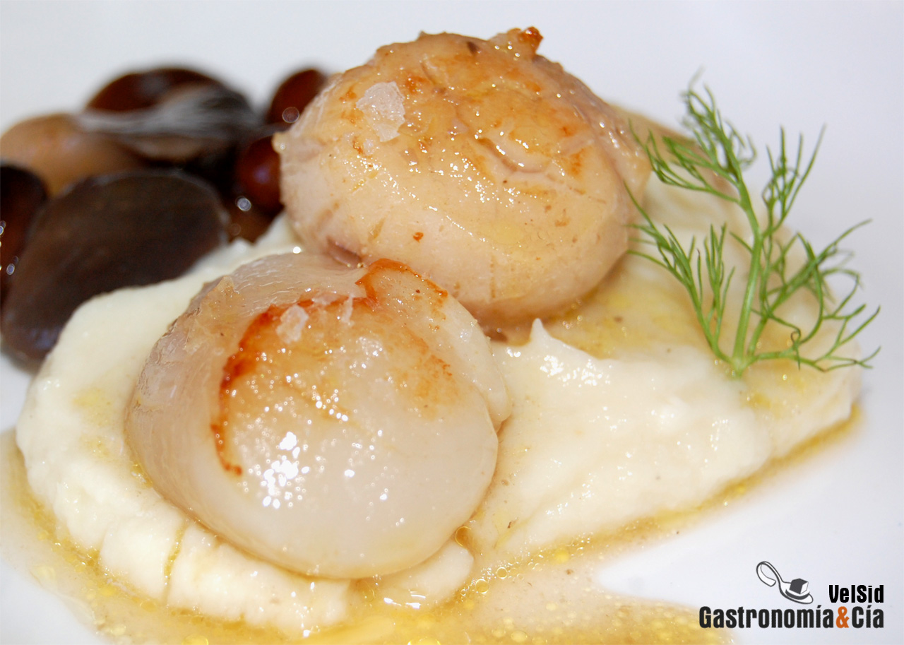 Vieira con coliflor trufada y setas saletadas