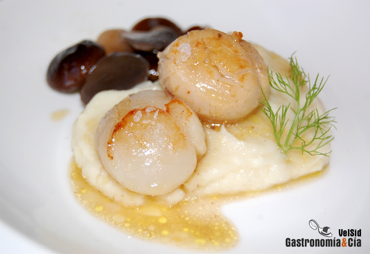 Vieira con coliflor trufada y setas saletadas