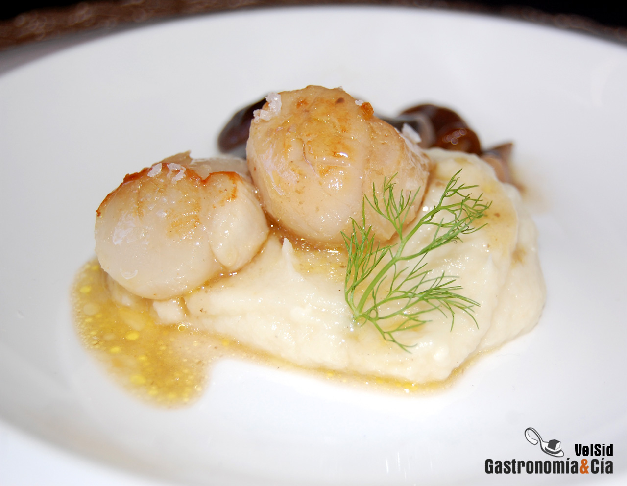 Vieira con coliflor trufada y setas saletadas