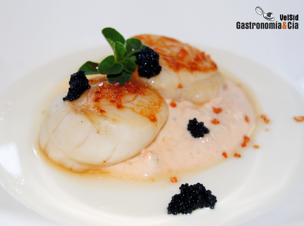 Vieiras con panna cotta de jengibre