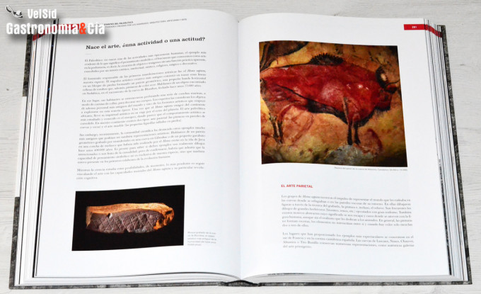 Paleolítico y Neolítico. Los orígenes de la cocina