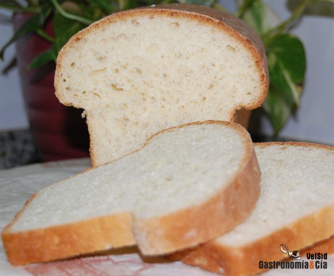 Pan casero enriquecido