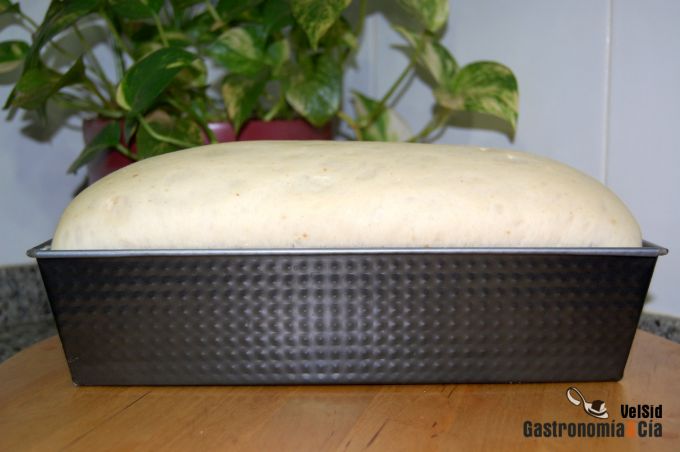 Pan casero enriquecido