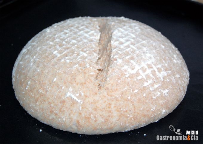 Pan de trigo integral