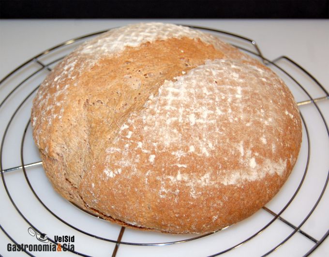 Pan de trigo integral
