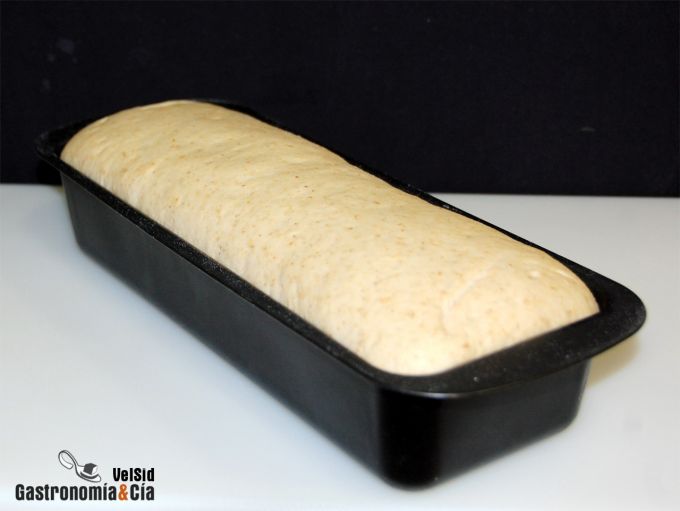 Pan de molde y avena