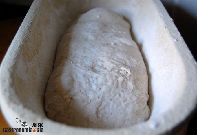 Pan con masa madre de nueve días