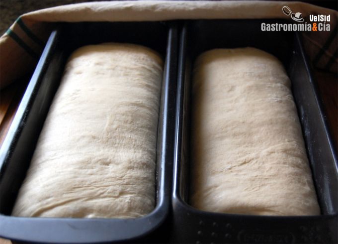 Pan de molde de panadería