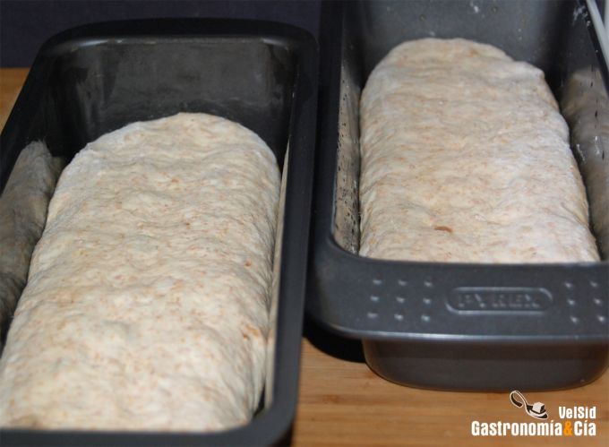 Pan de molde con pasas y yogur