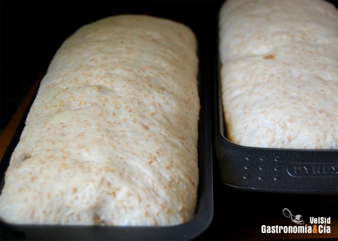 Pan de molde con pasas y yogur
