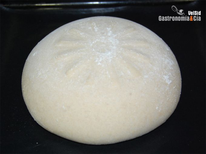 Pan de harina ecológica Mulino Marino