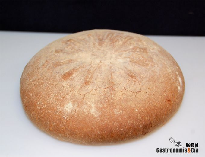 Pan de harina ecológica Mulino Marino