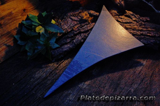 Plato de Pizarra, Novedades 2010