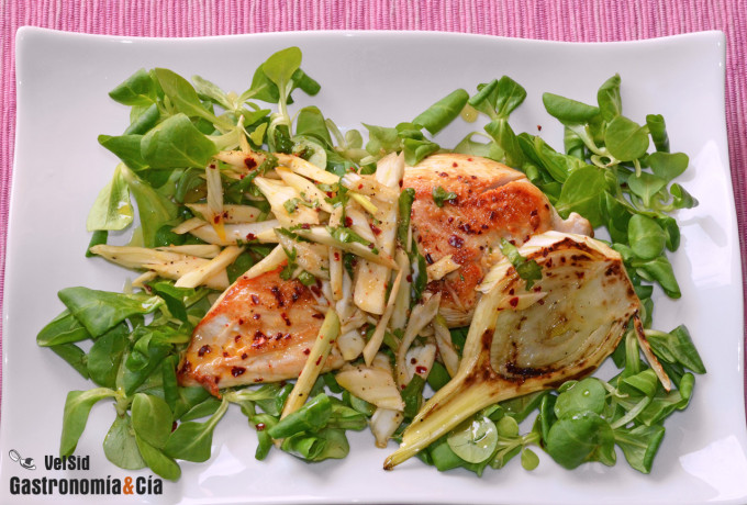 Pechuga de pollo con ensalada de hinojo, una receta lig