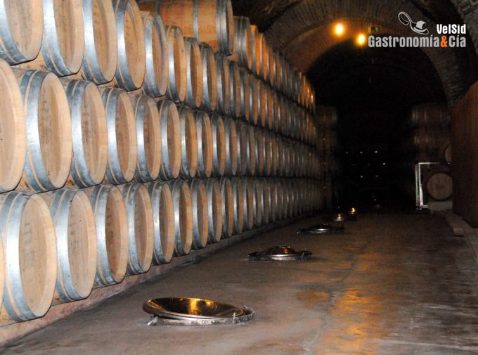 Bodegas Protos D.O. Ribera del Duero