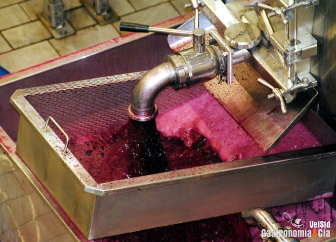 Bodegas Protos D.O. Ribera del Duero