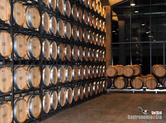 Bodegas Protos D.O. Ribera del Duero