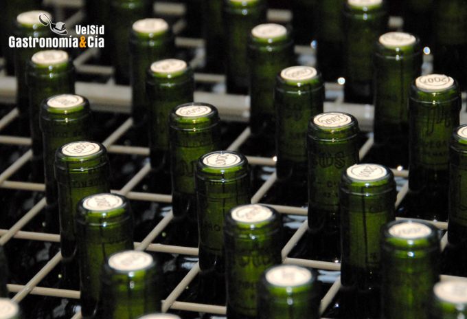 Bodegas Protos D.O. Ribera del Duero