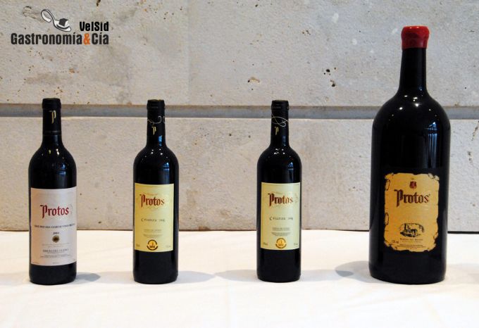 Bodegas Protos D.O. Ribera del Duero