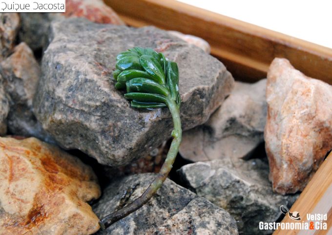 Menú Degustación Sale el Sol