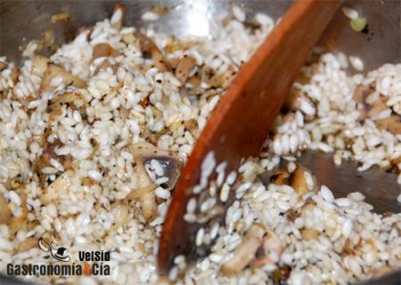 Risotto de setas y trufa de invierno