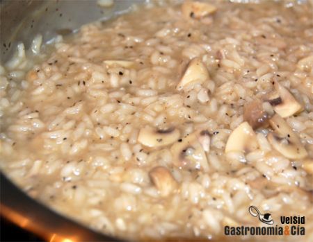Risotto de setas y trufa de invierno