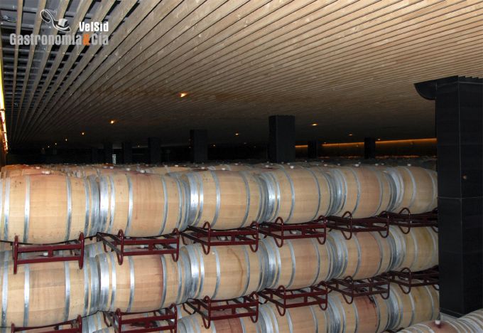 Sala de barricas Bodegas Laus