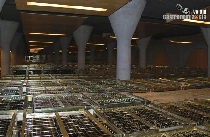 Sala de Botellas Bodegas Enate