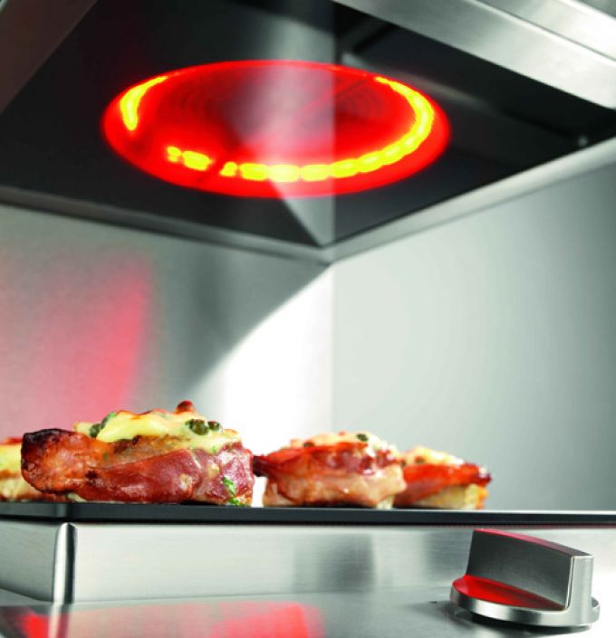 Salamandra doméstica